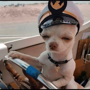 Meet your Posher, Jeffrey